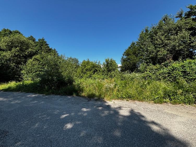 Teren extravilan de 3100 mp, în Dăești