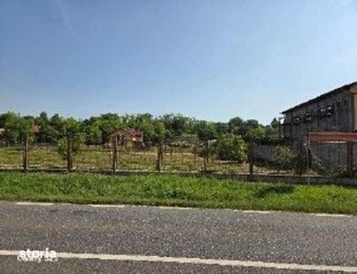 Teren de 1300 mp, în Salcea