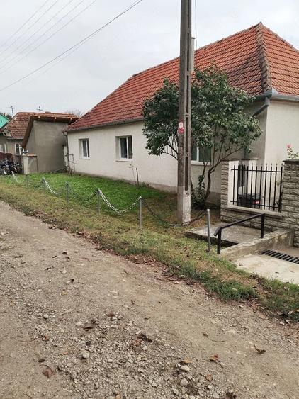 Casă cu Teren 8000 Mp în Turmaș