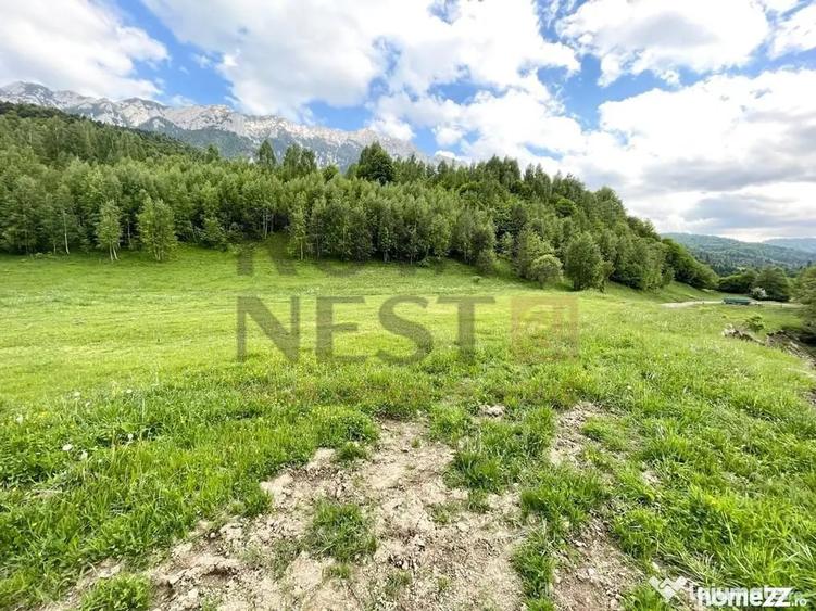 Teren de 12150 mp, în Plaiul Foii
