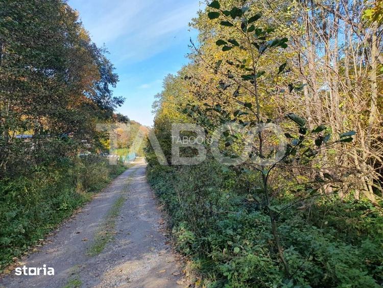 Teren in suprafata de 2990 mp cu vedere la munte zona turistica Lisa