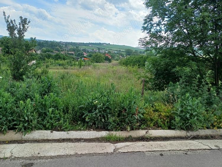 Teren de 1350 mp, în Tureni