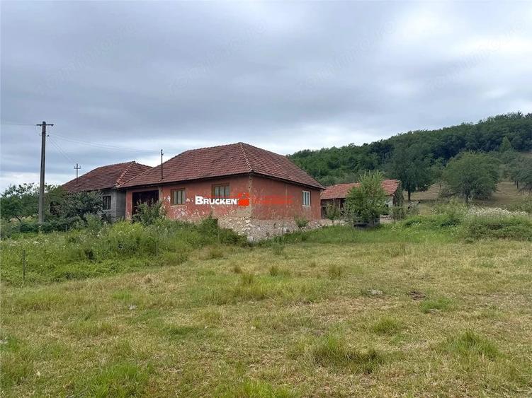 Teren de 60000 mp, în Beiușele