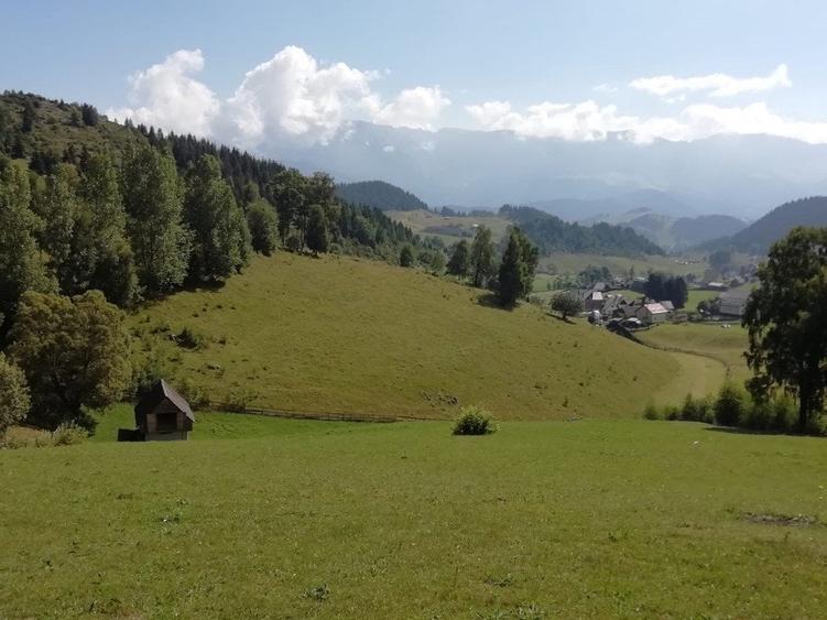 Teren agricol extravilan de 17537 mp, în Fundata
