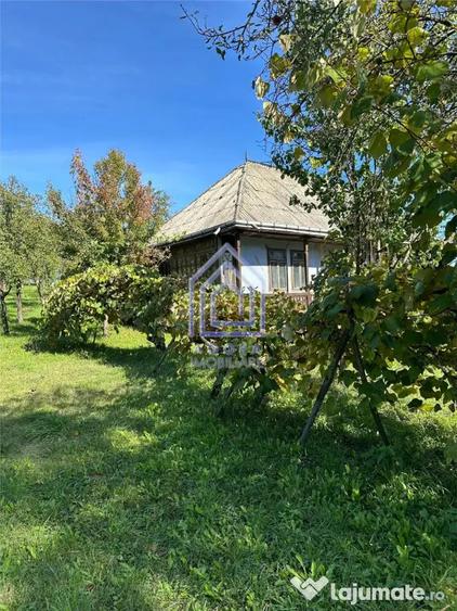 Teren de 4872 mp, în Antoceni