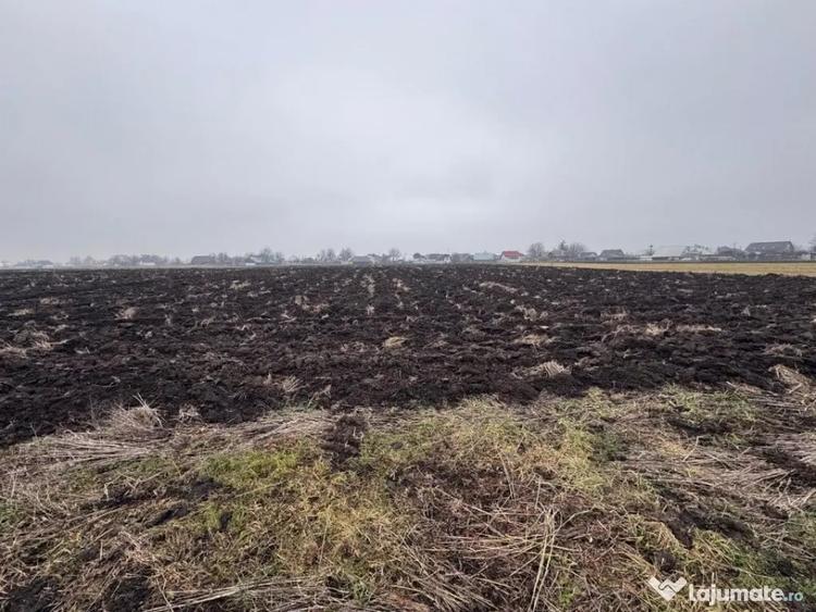 Teren de 3800 mp, în Frătăuții Vechi