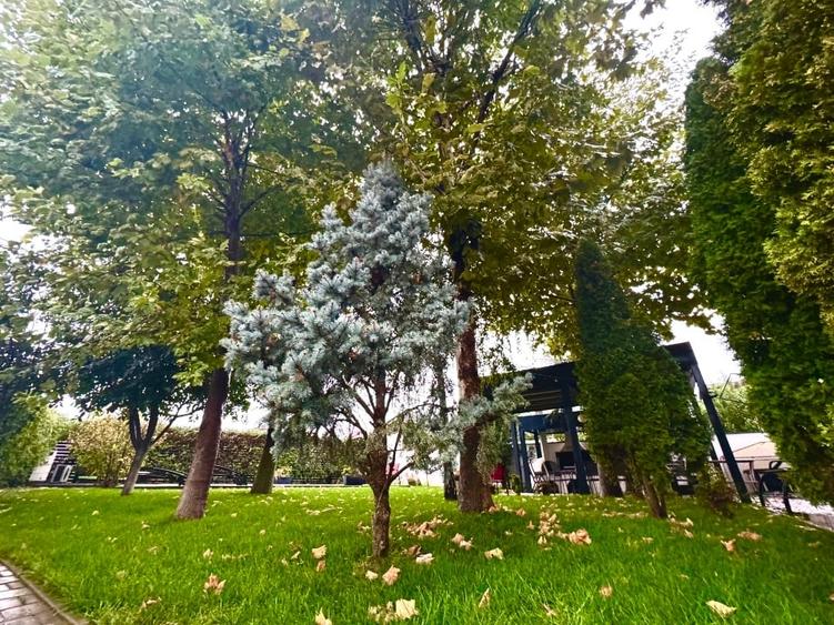 Casă individuală cu 5 camere cu Teren 631 Mp în Berceni