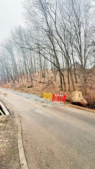 Teren intravilan de 24880 mp, în Griviței