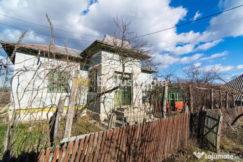 Casă cu 3 camere cu Teren 4145 Mp în Vedea