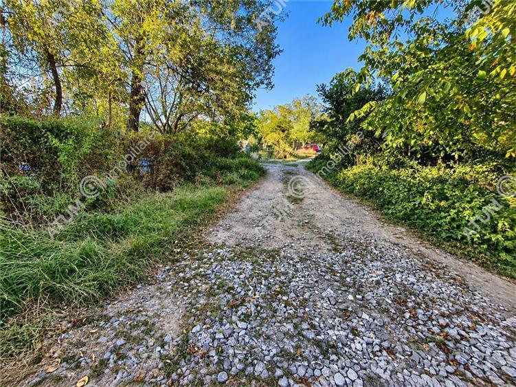 Teren extravilan de 1200 mp, în Sibiel