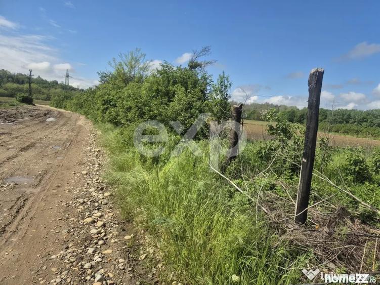Teren în Albota