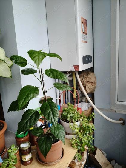 Apartament cu 3 camere semidecomandat în Lipovei