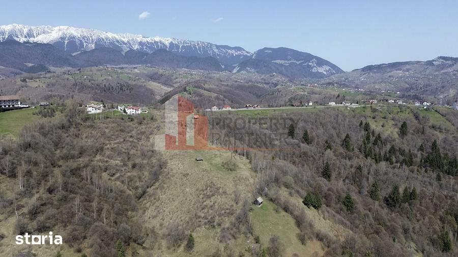 Teren de 29595 mp, în Moieciu
