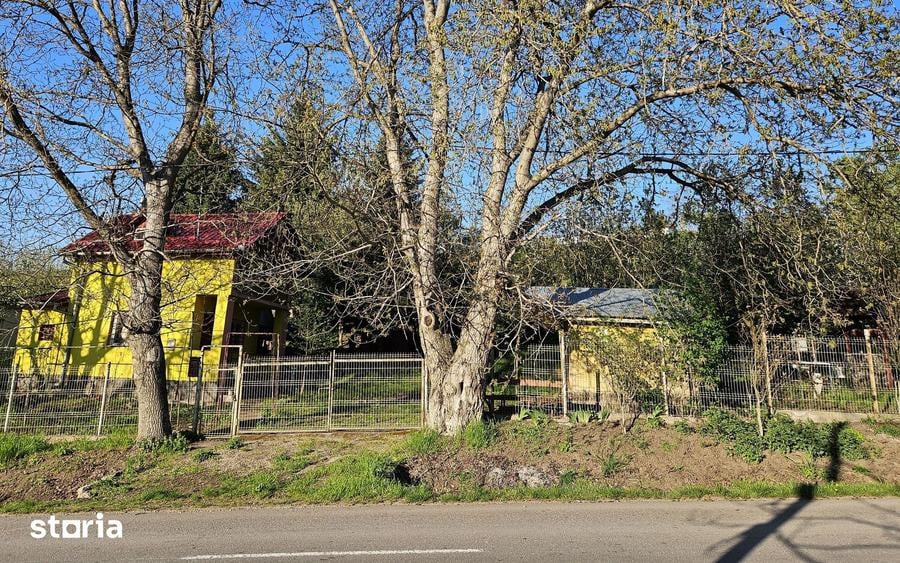 Casă cu 2 camere cu Teren 4200 Mp în Bogata