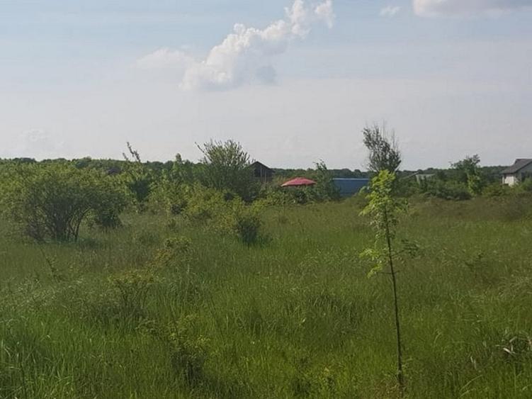 Teren Construcții intravilan de 3000 mp, în Ciolpani