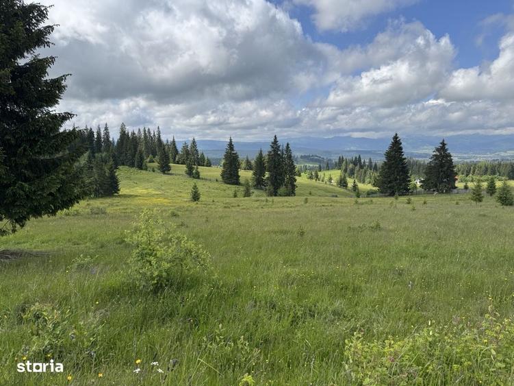 2 Ha teren cu intravilan pe Via Transilvanica; Bucovina - 5