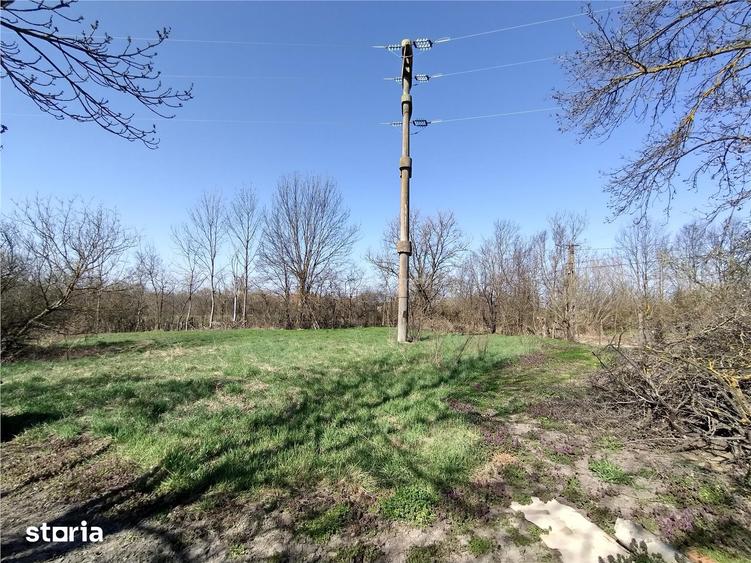 Casă cu 8 camere cu Teren 3800 Mp în Central