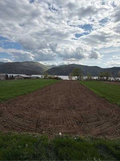 Teren de 1400 mp, în Central