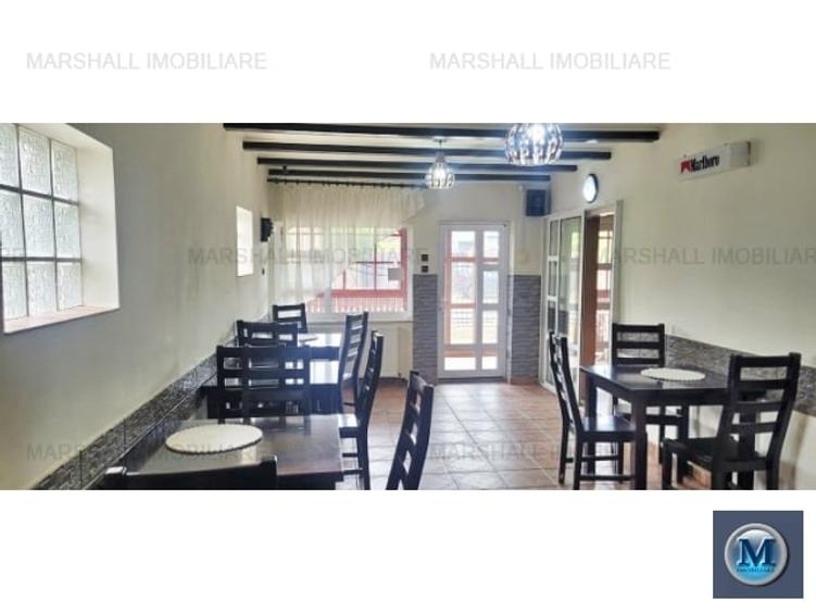 Casă cu 5 camere cu Teren 1366 Mp în Nevesteasca