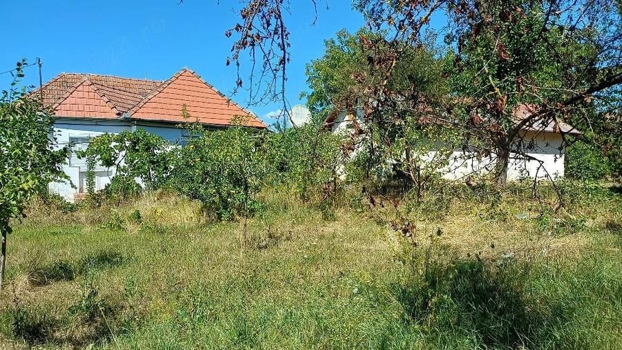 Casă cu 2 camere cu Teren 1500 Mp în Sânpetru de Câmpie
