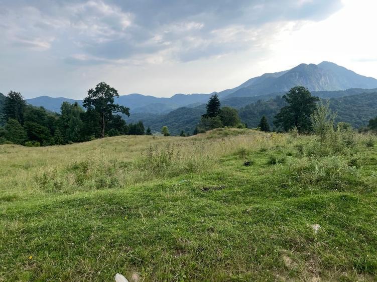 Teren Construcții intravilan de 12750 mp, în Pârâul Rece