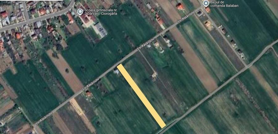 Teren de 4950 mp, în Ciorogârla