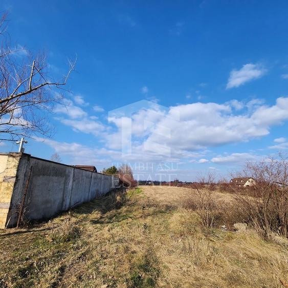 Teren Construcții intravilan de 5000 mp, în Vlădiceasca