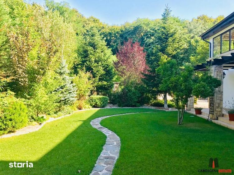 Vila P+1+M eleganta vav liziera Padurii (1418mp teren) - 4