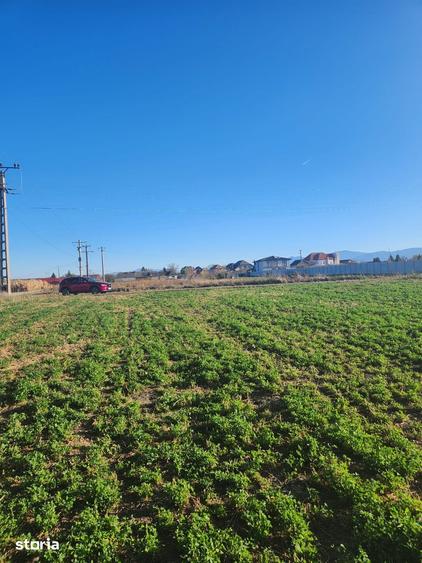 Teren de 510 mp, în Hălchiu