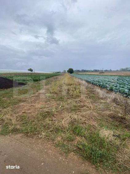 Teren de 4700 mp, în Băleni