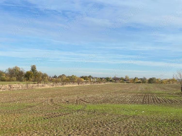 Teren de 5840 mp, în Clinceni