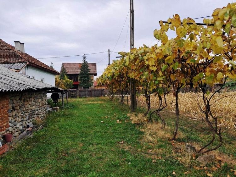 Casă individuală cu 4 camere cu Canalizare în Baia de Fier