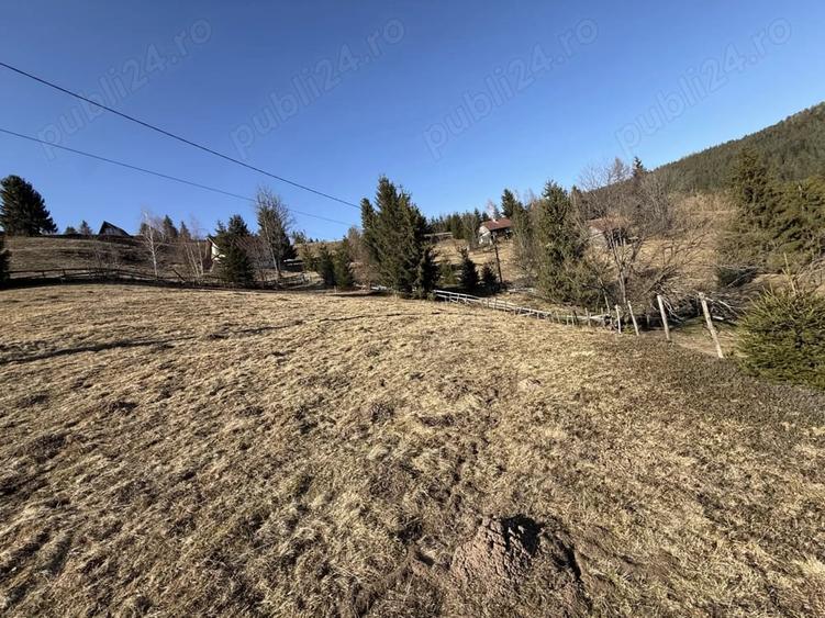 Teren de 12500 mp, în Galbena