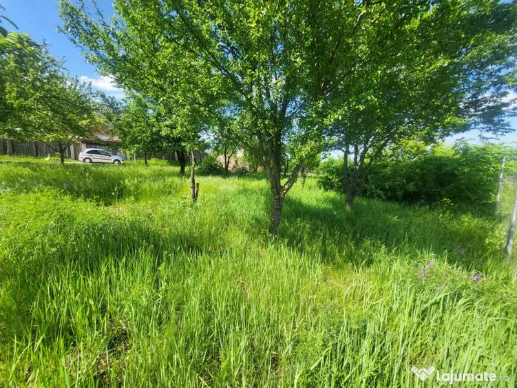 Teren de 900 mp, în Bârnova