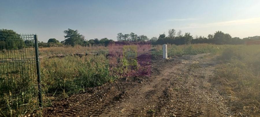 Teren Construcții intravilan de 1050 mp, în Săbăreni