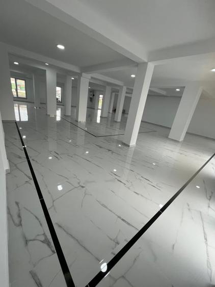 Spațiu comercial, de 250 mp, în Dumbrăvița