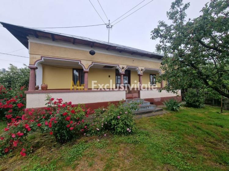 Casă cu 3 camere cu Teren 2100 Mp în Lunca