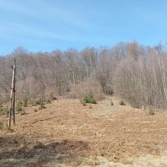 Teren de 10000 mp, în Luncșoara