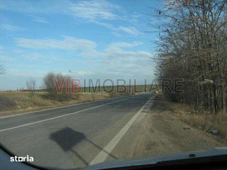 Teren de 61830 mp, în Belciugatele