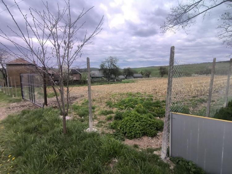 Teren de 48000 mp, în Ilișești