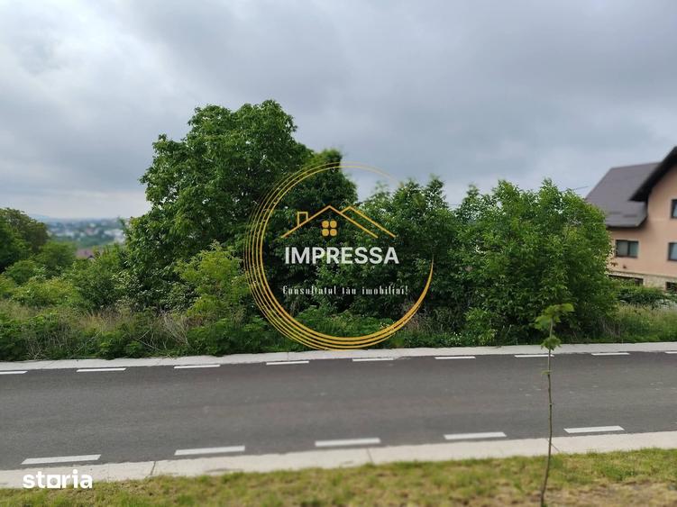 Teren de 6000 mp, în Ipotești