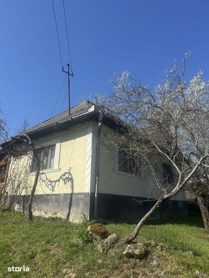 Casă cu 3 camere cu Teren 4500 Mp în Băița