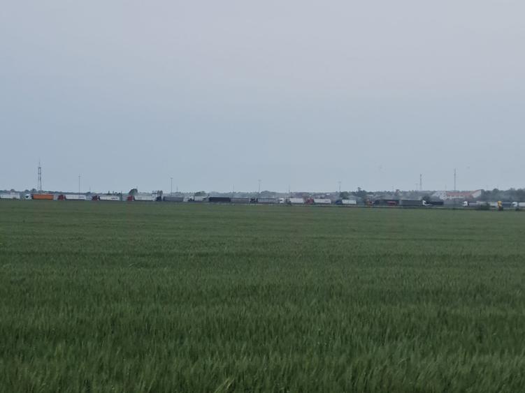 Teren Construcții intravilan de 25000 mp, în Lazu