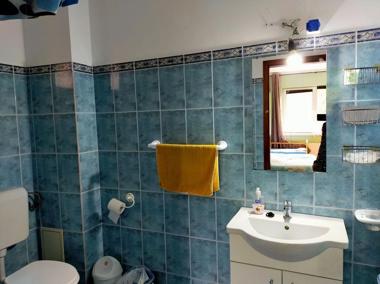 Casă individuală cu 9 camere cu Canalizare în Dumbrăvița