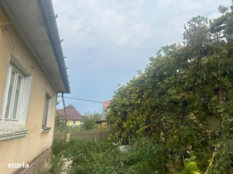 Casă cu Teren 471 Mp în Central