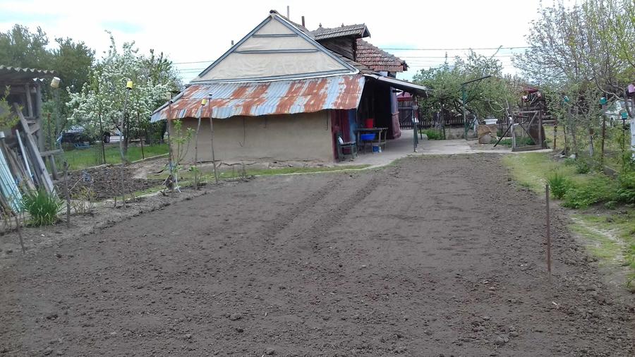 Spațiu comercial, în Petrăchioaia