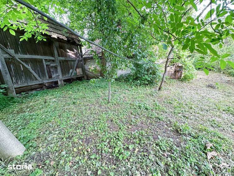 Casă cu 3 camere cu Teren 2000 Mp în Adămuș