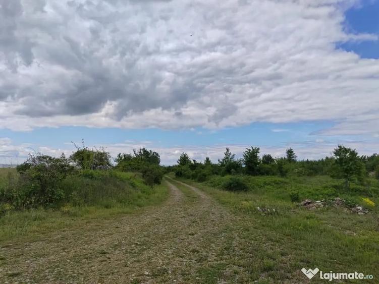 Teren în Ariceștii Rahtivani