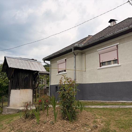 Casă cu 2 camere în Ileanda