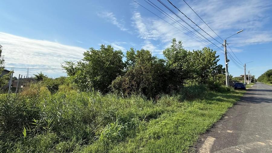Teren Construcții intravilan de 3600 mp, în Copăceni